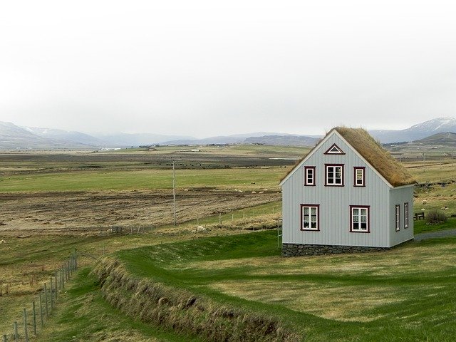 zadbany dach